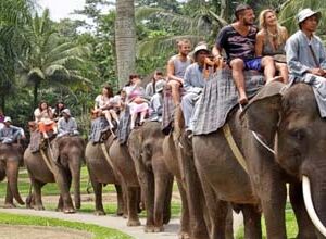 Bali Elephant Safari Park