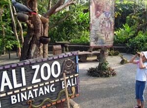 Bali Zoo Park