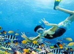 Padang Bay Snorkeling
