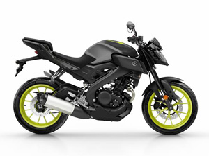 Yamaha byson 250cc